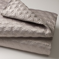 Dramatic in it's simplicity Grande Dametakes it's inspiration from a classic French damask design. It's Grande scale and clean lines make it sophisticated and modern. A subtle stripe ground softens the Sterling satin while a mélange texture brings interest to the motifs.