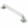 Moen 8912 Home Care 12-Inch Grab Bar, Stainless