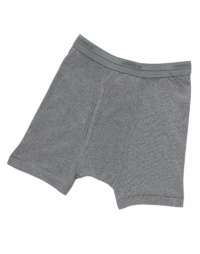 Hanes Toddler Boys' Boxer Briefs 3-Pack # TB74AS Hanes Toddler Boys' Boxer Briefs 3-Pack # TB74AS