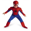 Spiderman Toddler Size: 2T (Red/Blue)