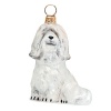 A lovely gift for any Havanese owner, the Pet Set dog ornaments from Joy to the World are endorsed by Betty White to benefit Morris Animal Foundation. Each hand painted ornament is packed individually in its own black lacquered box.