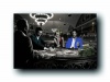 (24x36) Chris Consani Royal Flush Art Print Poster