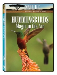 Nature: Hummingbirds Nature: Hummingbirds