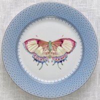 Mottahedeh Cornflower Lace Dessert Plate (Butterfly) 8.5 in Mottahedeh Cornflower Lace Dessert Plate (Butterfly) 8.5 in