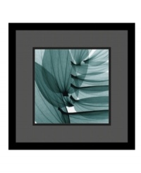 Wall-ready in black satin finished wood frame and protected with a gallery-quality, premium acrylic glaze, the artist Steven Meyers' x-ray image of lily leaves captures the transparent beauty of plants seldom seen before. Plus, its striking abstract composition will captivate many viewers. Wall-ready in black satin finished wood frame and protected with a gallery-quality, premium acrylic glaze, the artist Steven Meyers' x-ray image of lily leaves captures the transparent beauty of plants seldom seen before. Plus, its striking abstract composition will captivate many viewers.