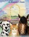 The Rainbow Bridge: Pet Loss Is Heaven's Gain