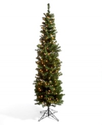 Get the skinny on elegant holiday decorating! With a long, lean silhouette and 300 clear lights, Kurt Adler's Winchester Pine pencil tree brings joy to your gatherings and sparkling warmth to those chilly winter nights. Get the skinny on elegant holiday decorating! With a long, lean silhouette and 300 clear lights, Kurt Adler's Winchester Pine pencil tree brings joy to your gatherings and sparkling warmth to those chilly winter nights.