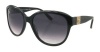 Chloe Sunglasses CL2233 Black Shades