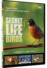 Secret Life of Birds - 5 Part Series Secret Life of Birds - 5 Part Series