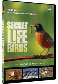 Secret Life of Birds - 5 Part Series