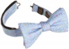 Countess Mara Men's Paisley Pretied Bow Tie, Medium Blue, One Size
