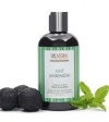 Shea Terra Organics Mint Marrakesh Black Soap Elixir