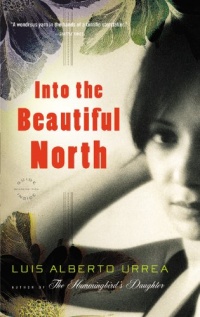 Into the Beautiful North: A Novel Into the Beautiful North: A Novel