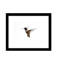 Small but speedy, the elusive hummingbird is caught up close and in-flight in this masterfully shot image by Ashley Beck. A canvas print framed in black creates a modern gallery look. Small but speedy, the elusive hummingbird is caught up close and in-flight in this masterfully shot image by Ashley Beck. A canvas print framed in black creates a modern gallery look.