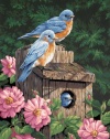 Dimensions Needlecrafts Paintworks Paint By Number, Garden Bluebirds