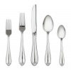 Lenox Bellina Stainless-Steel 5-Piece Place Setting, Service for 1