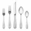 Lenox Bellina Stainless-Steel 5-Piece Place Setting, Service for 1