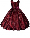AMJ Dresses Inc Girls Burgundy Fairy Flower Girl Holiday Dress Sizes 2 to 12
