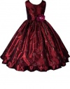 AMJ Dresses Inc Girls Burgundy Fairy Flower Girl Holiday Dress Sizes 2 to 12