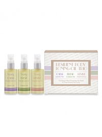 We've blended our award winning Stretch Mark Oil with three aromas that make caring for your skin addicting. Our select blend includes Hazelnut, Sweet Almond, Wheat Germ, Grapeseed, Rosehip Oils plus Vitamin E all help skin build collagen and elastin for better strength and stretch. These natural oils are packed with Omega Rich Essential Fatty Acids that tone, strengthen and fuel skin repair. Whether you want to relax and unwind or revive and refresh, this trio pack has everything you need. We've blended our award winning Stretch Mark Oil with three aromas that make caring for your skin addicting. Our select blend includes Hazelnut, Sweet Almond, Wheat Germ, Grapeseed, Rosehip Oils plus Vitamin E all help skin build collagen and elastin for better strength and stretch. These natural oils are packed with Omega Rich Essential Fatty Acids that tone, strengthen and fuel skin repair. Whether you want to relax and unwind or revive and refresh, this trio pack has everything you need.