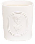 To celebrate 50 years of creation, innovation and passion for perfume in all its forms, the 34 boulevard saint germain range pays homage to an unusual history. This LIMITED EDITION candle scent was inspired by the atmosphere of the workshop of Desmond Knot-Leet, one of the three founders of the brand.The fragrance expresses the eclectic nature of the subtle, unusual collection, from which the creators drew their inspiration.