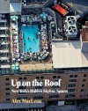 Up on the Roof: New York's Hidden Skyline Spaces