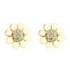 14K Yellow Gold Plated Flower CZ Stud Earrings with Screw-back for Children & Women