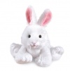 Webkinz Rabbit