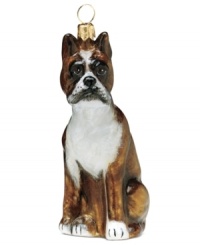 Lucky dog! Just begging for a home, this handsome boxer ornament has puppy dog eyes and a beautiful coat in hand-painted glass by Joy to the World. Lucky dog! Just begging for a home, this handsome boxer ornament has puppy dog eyes and a beautiful coat in hand-painted glass by Joy to the World.