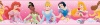 RoomMates RMK1526BCS Disney Princess Dream From the Heart Pink Peel & Stick Border