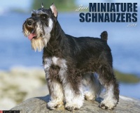 Miniature Schnauzers 2013 Wall Calendar Miniature Schnauzers 2013 Wall Calendar