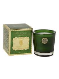 EXCLUSIVELY AT SAKS. A rich blend of fresh pine needles, Canadian balsam and white musk reminiscent of the the flourishing forest and warm coastal winds of central California. Burn time: About 100 hours. Made in USA. EXCLUSIVELY AT SAKS. A rich blend of fresh pine needles, Canadian balsam and white musk reminiscent of the the flourishing forest and warm coastal winds of central California. Burn time: About 100 hours. Made in USA.