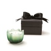 This elegantly scalloped D.L. & Co. candle contains a lush fragrance blend of hemlock, black pine, cedar, Italian cypress and oak moss. Comes in an exquisite black ribboned box for the perfect gift.