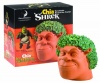 Chia Shrek Handmade Decorative Planter, 1 Kit