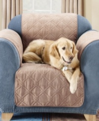 Now it's okay for your best friend to be on the furniture! Sure Fit's Soft Suede Pet Throws protect furniture from pet fur and stains easily and affordably. Now it's okay for your best friend to be on the furniture! Sure Fit's Soft Suede Pet Throws protect furniture from pet fur and stains easily and affordably.
