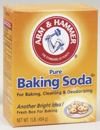 Church & Dwight #01110 16oz Arm & Hammer Church & Dwight #01110 16oz Arm & Hammer