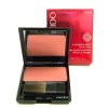 Shiseido Shiseido Luminizing Satin Face Color - Rs302