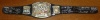 Hulk Hogan Ric Flair Shawn Michaels Sid Justice Diesel + Signed WWE Belt - PSA/DNA Certified - Autographed Wrestling Robes, Trunks and Belts