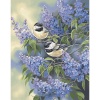 Dimensions Needlecrafts Paintworks Paint By Number, Chickadees & Lilacs