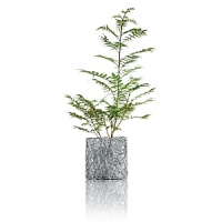 Wire vase covered in anodized aluminum. Designed by Fratelli Campana. Wire vase covered in anodized aluminum. Designed by Fratelli Campana.