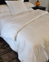 Natural Comfort Soft and Luxurious 300TC Sateen White Down Alternative Duvet Insert, Twin