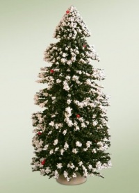 Snow Tree Size: 12 Snow Tree Size: 12