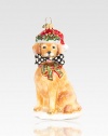 The perfect gift for that passionate golden retriever lover on your list, this pup is dressed for the holidays and brings his own Courtly Check bone to the party, in mouth-blown, hand-painted glass.Glass4.75H X 2.5W X 2.5DImported Please note: Due to their handmade nature, ornaments may vary slightly. 