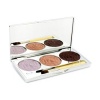 Chantecaille Shadow & The Rose (1x Cheek Shade + 2x Shine Eye Shade + Brush) - 3x2.2g/0.077oz