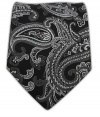100% Silk Woven Black Chicago Paisley Tie