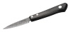 Kyocera KT-075-HIP-D Kyotop Damascus 3-Inch Paring Knife with Pakka Handle