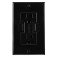 Newer Technology Power2U AC Wall Outlet with USB Charging Ports (Black) Newer Technology Power2U AC Wall Outlet with USB Charging Ports (Black)