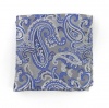 100% Silk Woven Silver Chicago Paisley Pocket Square