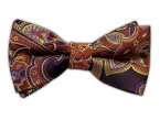 100% Silk Woven Eggplant Sprouting Paisley Self-Tie Bow Tie