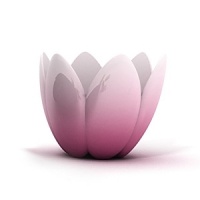 Designed by Stefano Giovannoni, this hand-decorated bowl makes an elegant presence in any room. Designed by Stefano Giovannoni, this hand-decorated bowl makes an elegant presence in any room.